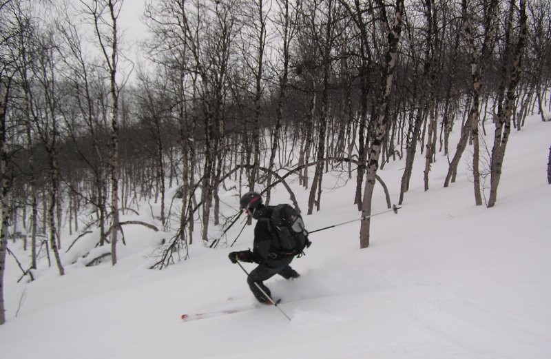 Click for the original image